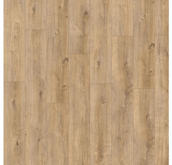 Avvio Sebastian Oak 22360 vinyl lepený POUKAZ ZDARMA / MNOŽSTEVNÍ SLEVY