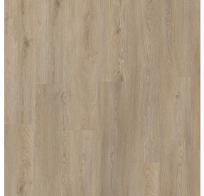 MODULEO Roots 55 EIR Galtymore Oak 86851 lepený vinyl