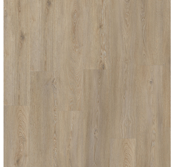 MODULEO Roots 55 EIR Galtymore Oak 86851 lepený vinyl