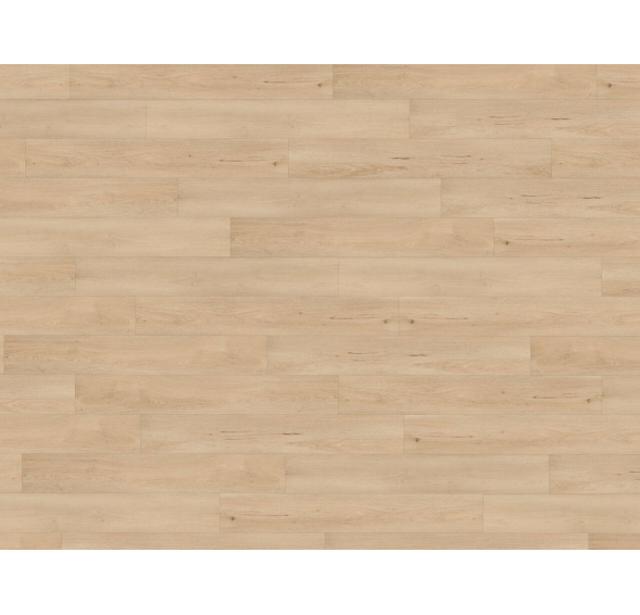 Vinyl Floor Forever GRAND FLOOR CLICK 9951 Dub Pískový RIGID+ lišta ZDARMA