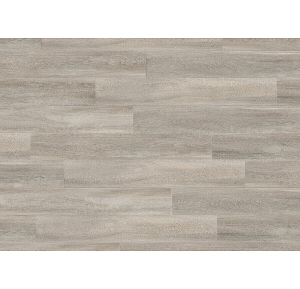 Creation 55 CLIC Acoustic 0853 Bostonian Oak Beige MNOŽSTEVNÍ SLEVY
