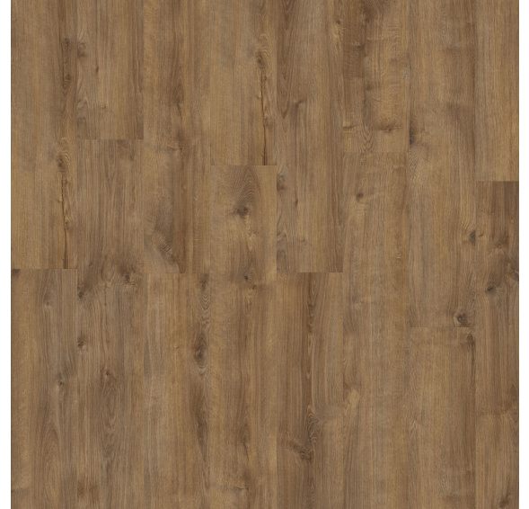 MODULEO Roots 55 EIR Galway Oak 87832 lepený vinyl