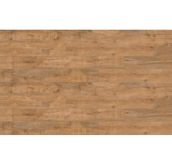 Creation 40 CLIC Acoustic 1709 Savage Oak Honey 212x1239 MNOŽSTEVNÍ SLEVY Creation 40 CLIC Acoustic 1709 Savage Oak Honey 212x1239 MNOŽSTEVNÍ SLEVY