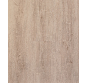 Canadian Design Premium XXL SPC RIGID Windsor Oak