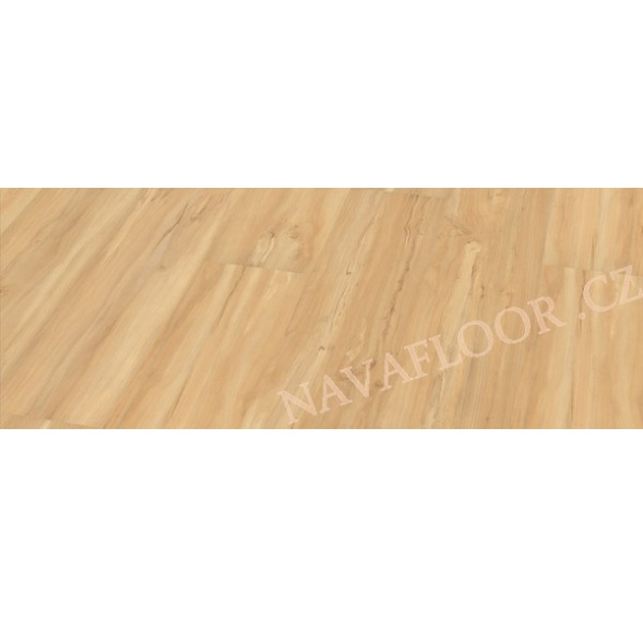 Wineo Ambra Wood Jablko rustikální DAP61413AMW Wild Apple