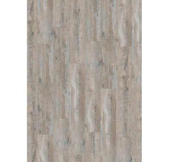 SIMPLE 0,30 MIKADO rigid click