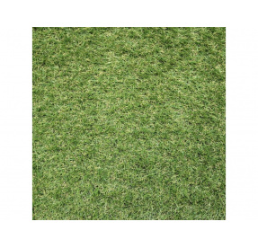 Umělý travní koberec Sophia New 22mm