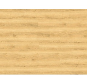 WINEO DESIGNLINE 800 WOOD click DLC00081 Honey Warm Marple 