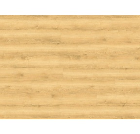 WINEO DESIGNLINE 800 WOOD click DLC00081 Honey Warm Marple 