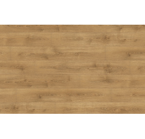 Egger 7/31 EPL208 5 Dub Nord