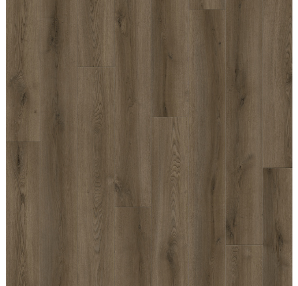 Rigid Sierra Acoustic Dune Oak 841