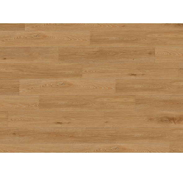 Creation 40 CLIC Acoustic 1706 Aquinoah Honey 212x1239 MNOŽSTEVNÍ SLEVY Creation 40 CLIC Acoustic 1706 Aquinoah Honey 212x1239 MNOŽSTEVNÍ SLEVY
