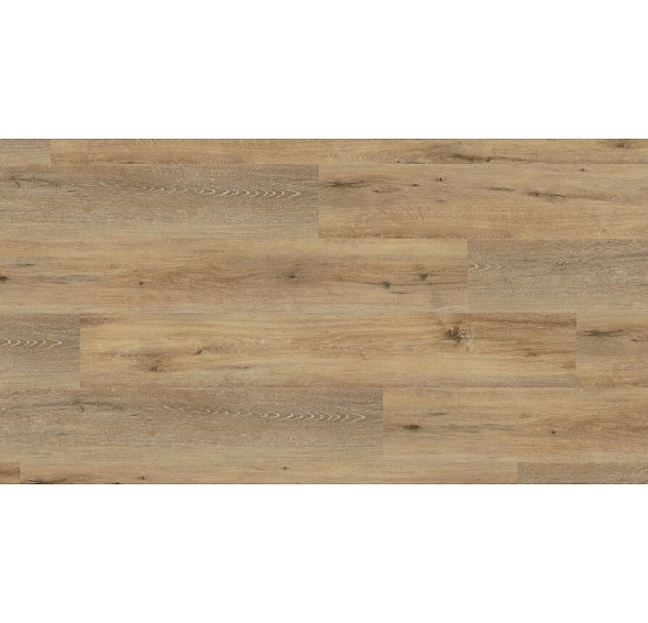 Wineo 400 XL Joy Oak Tender DB00126 lepená DOPRODEJ