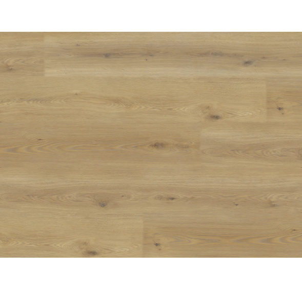 EXPERTO LVT 55 Dub Calle 8196L-001 lepená POUKAZ ZDARMA / MNOŽSTEVNÍ SLEVY