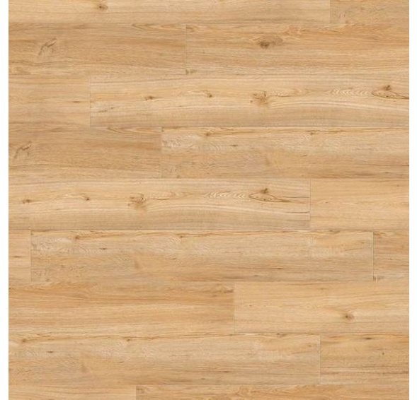 Creation 40 Rigid Acoustic 0347 Ballerina AKCE