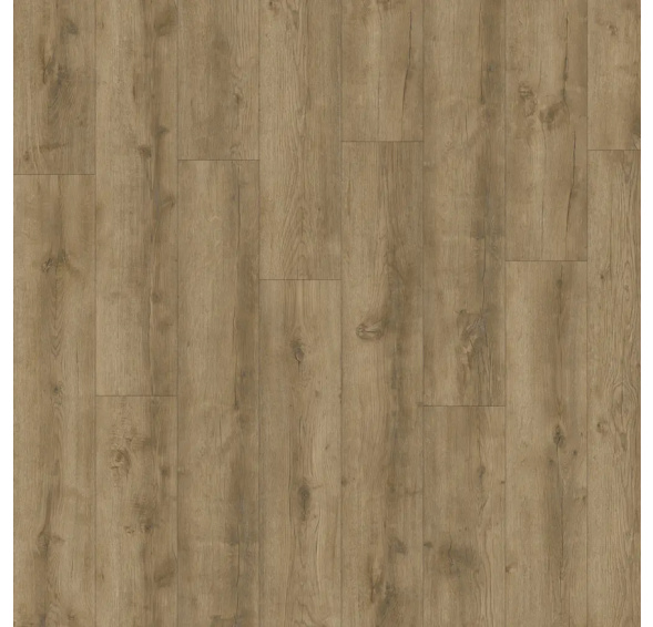 Avvio Major Oak 24863 vinyl lepený POUKAZ ZDARMA / MNOŽSTEVNÍ SLEVY