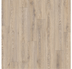 IVC Rigid Sierra Acoustic Holm Oak 22937
