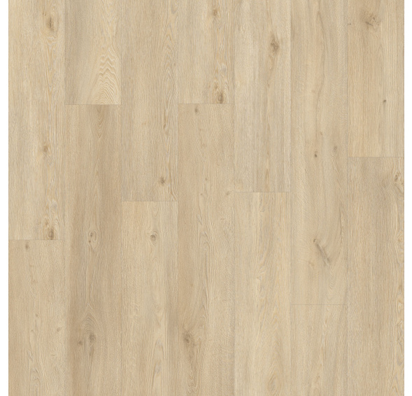 MODULEO Roots 55 EIR Galtymore Oak 86237 lepený vinyl