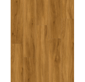 Canadian Design SPC RIGID Hamilton - AKCE