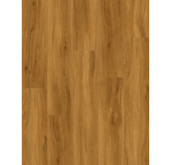 Canadian Design SPC RIGID Hamilton - AKCE Canadian Design SPC RIGID Hamilton - AKCE