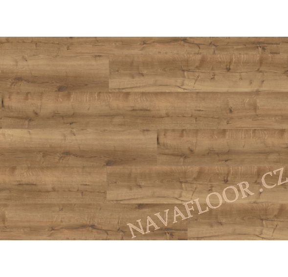 Wineo DESIGNline 400 Wood XL CLICK Comfort Oak Mellow DLC00129 AKCE
