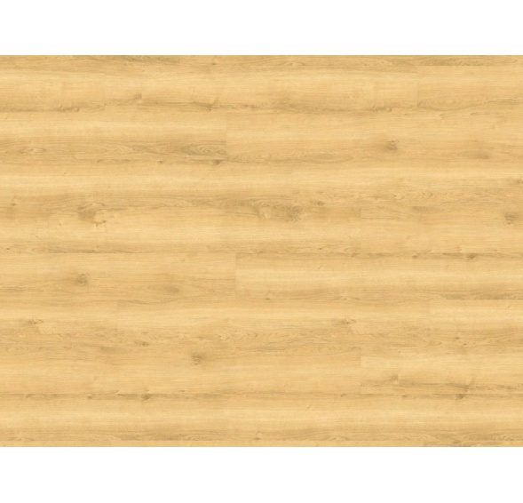 WINEO DESIGNLINE 800 WOOD click DLC00080 Wheat Golden Oak 