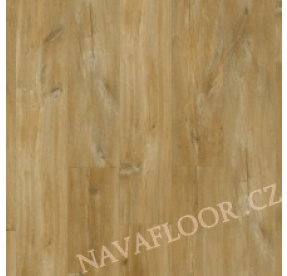 Quick-Step Balance CLICK PLUS V4 BACP 40039 Kaňonový dub přírodní