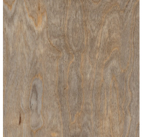 Amtico First Bleached Elm SF3W2516 MNOŽSTEVNÍ SLEVY vinylová podlaha lepená