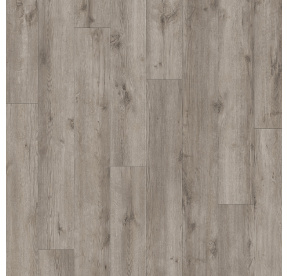 Rigid Sierra Acoustic Star Oak 241