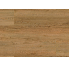 AUTHENTIC OAK 0,55 Dub Královský 1020 CLICK RIGID Vinyl Floor Forever