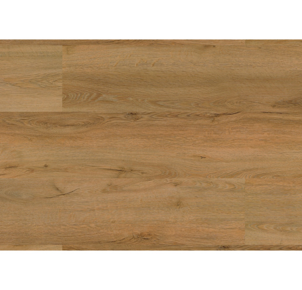 AUTHENTIC OAK 0,55 Dub Královský 1020 CLICK RIGID Vinyl Floor Forever + LIŠTA zdarma