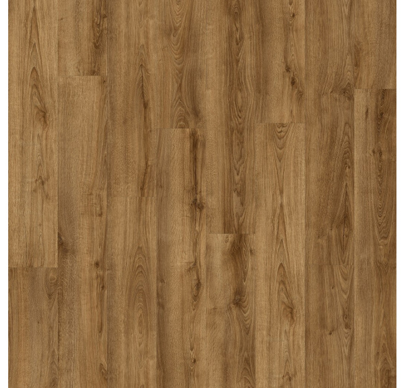 Vinyl Floor Forever Divino 83853 DUB APOLLON click RIGID