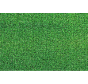 Umělý travní koberec 200 x 300 cm Little Grass