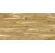 Barlinek Pure Line PICCOLO Conchi DUB LAK 1WG000609