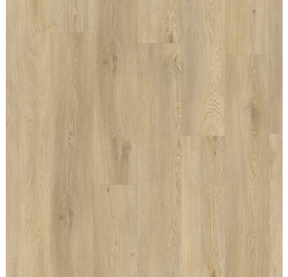 MODULEO Roots 55 EIR Galtymore Oak 86339 lepený vinyl