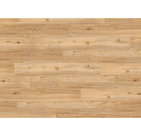 Creation 55 CLIC Acoustic 0347 Ballerina 