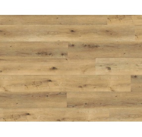 Wineo Designline 800 WOOD XL DB00064 Corn Rustic Oak