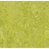 Marmoleum HOME H34