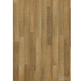 Vinylová podlaha SPC WOODS Click - HIF 21103