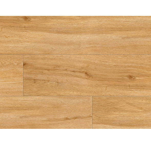 Creation 55 Rigid Lock Acoustic 0870 Quartet Honey